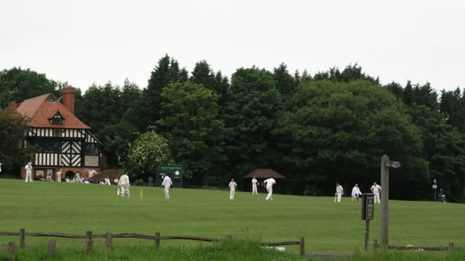Cricket